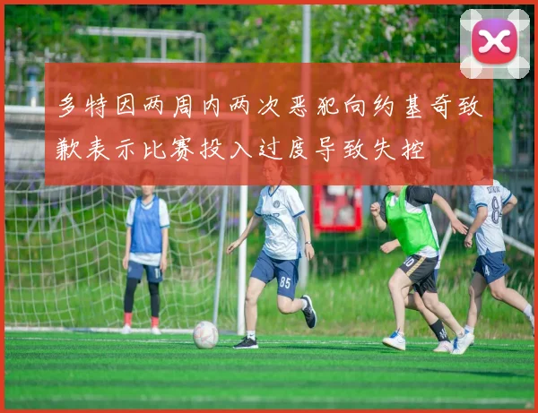 多特因两周内两次恶犯向约基奇致歉表示比赛投入过度导致失控