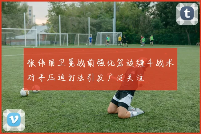 张伟丽卫冕战前强化笼边缠斗战术对手压迫打法引发广泛关注