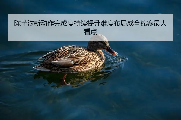 陈芋汐新动作完成度持续提升难度布局成全锦赛最大看点